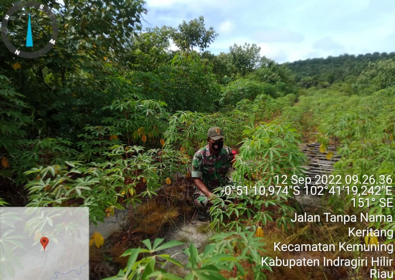 Babinsa Koramil 09/Kemuning Giat Lakukan Pembersihan Gulma dan Penyiapan Rumput di Daerah