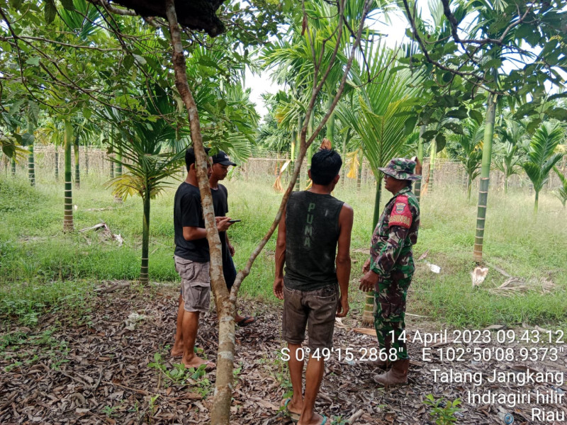 Babinsa Koramil 09/Kemuning Sosialisasi Pencegahan Kebakaran Lahan dan Hutan