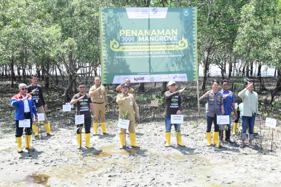 Bupati Kasmarni Buka Talk Show Penanaman 3000 Mangrove, Guna Lestarikan dan Cegah Abrasi