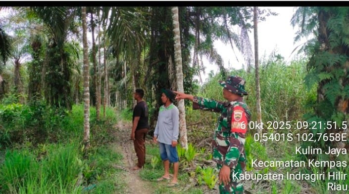Jaga Kedaulatan Teritorial: Babinsa Koramil 03/Tpl Gelar Patroli Tapal Batas di Kulim Jaya