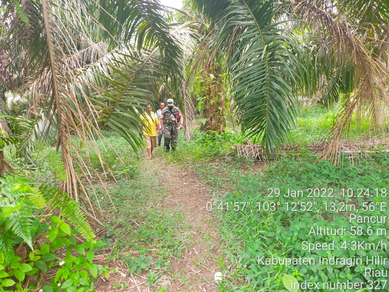 Babinsa Koramil 09/Kemuning Cegah Kebakaran Hutan dan Lahan di Talang Jangkang
