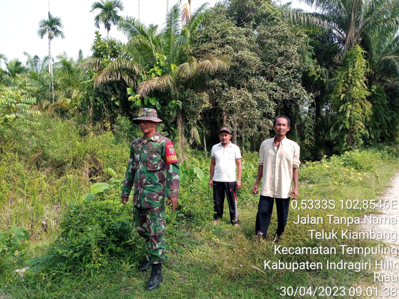 Cuaca Panas Babinsa Koramil 03/Tpl Rutin Laksanakan Patroli karlahut