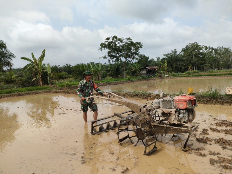 Babinsa 03/Tpl Sertu Ichlas Manalu Olah Lahan Bersama Poktan Sumber Rezeki