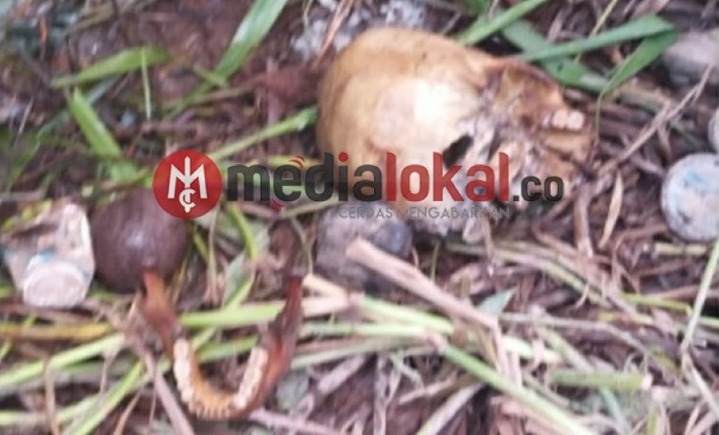 Penemuan Kerangka Kepala di Gaung Inhil, ini Kata Pak Polisi 