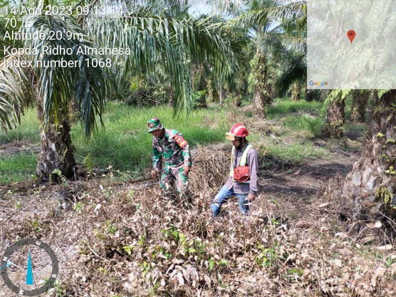 Kopda Ridho AlmahesaRutin Laksanakan Patroli di Lahan Terbuka Dan Semak Belukar Di Wilayah Rawan Karlahut