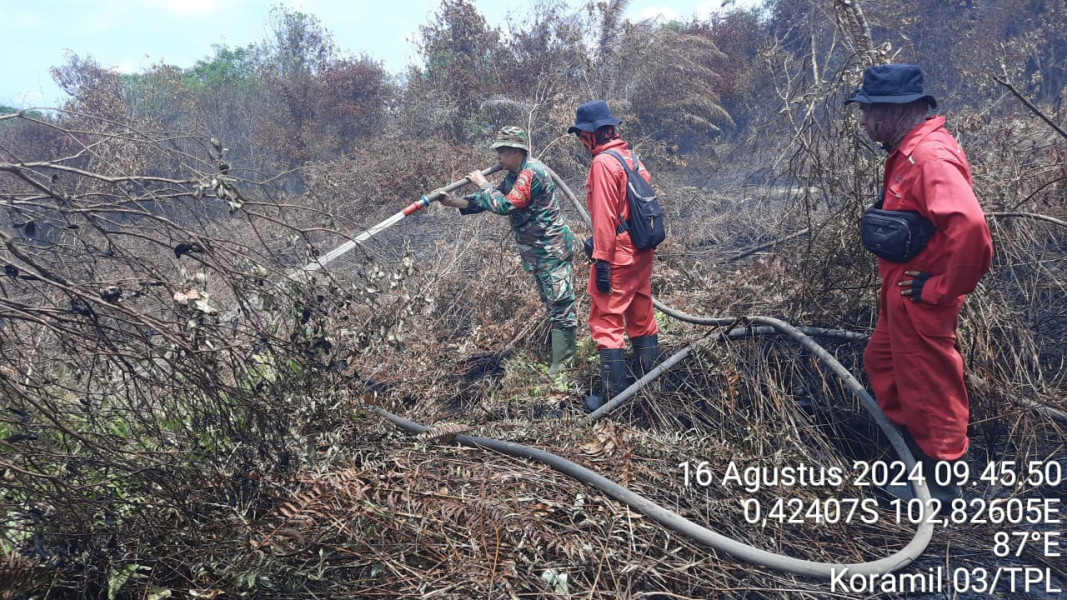 Tetap Semangat, Anggota Koramil 03/Tpl Dan Petugas Gabungan Lakukan Pendinginan Karhutla di Desa Teluk Kiambang
