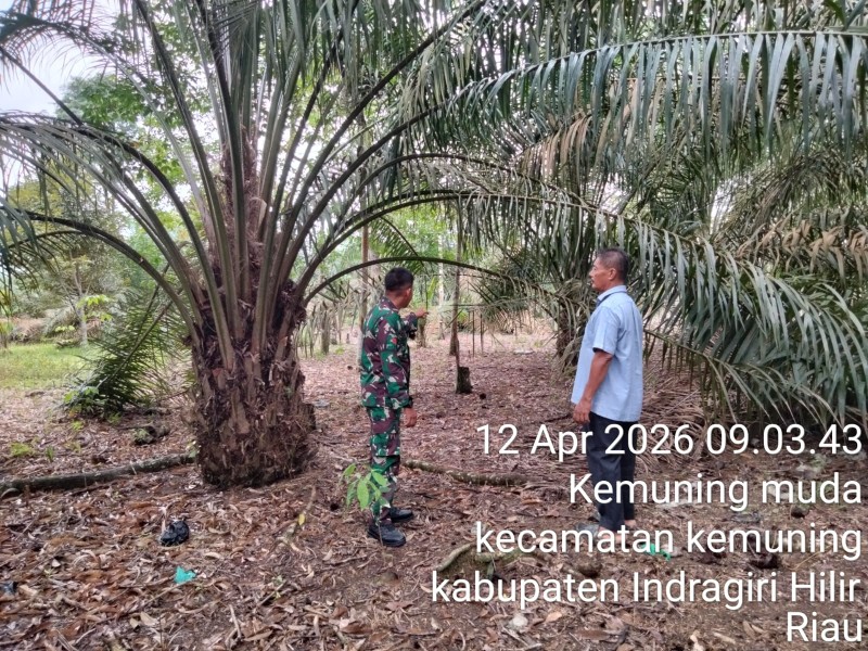 Babinsa Koramil 09/Kemuning Gandeng Warga Sisir Wilayah Rawan Karhutla