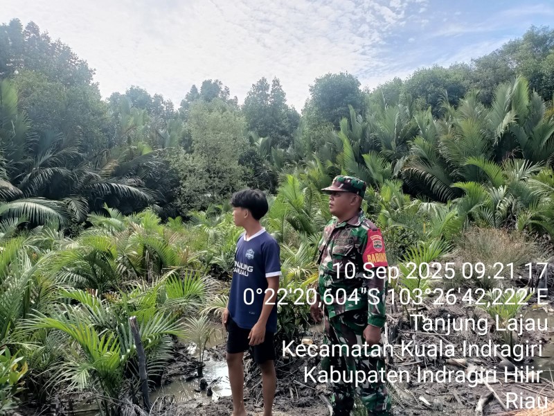 Laporan Situasi Karhutla Hari Ini di Wilayah Koramil 04/Kuindra