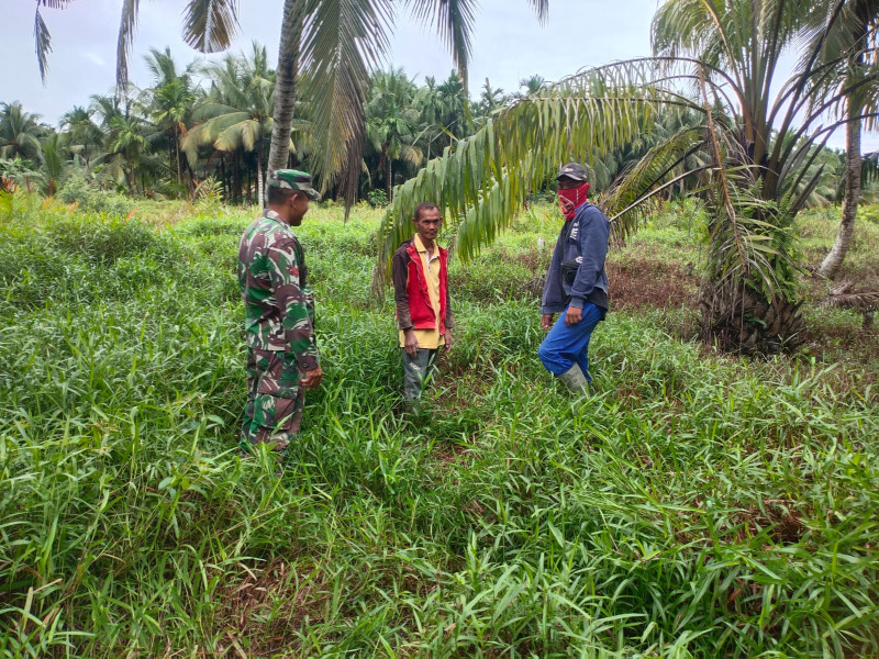 Babinsa Koramil 07/Reteh Laksanakan Patroli Karhutla, Situasi Aman