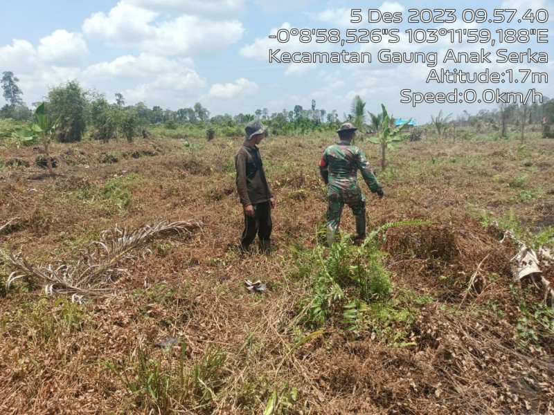 Kopda Chandra Manto Koramil 05/Gas Laksanakan Patroli Kebakaran Hutan Konsesi Mitigasi Di Desa Idaman