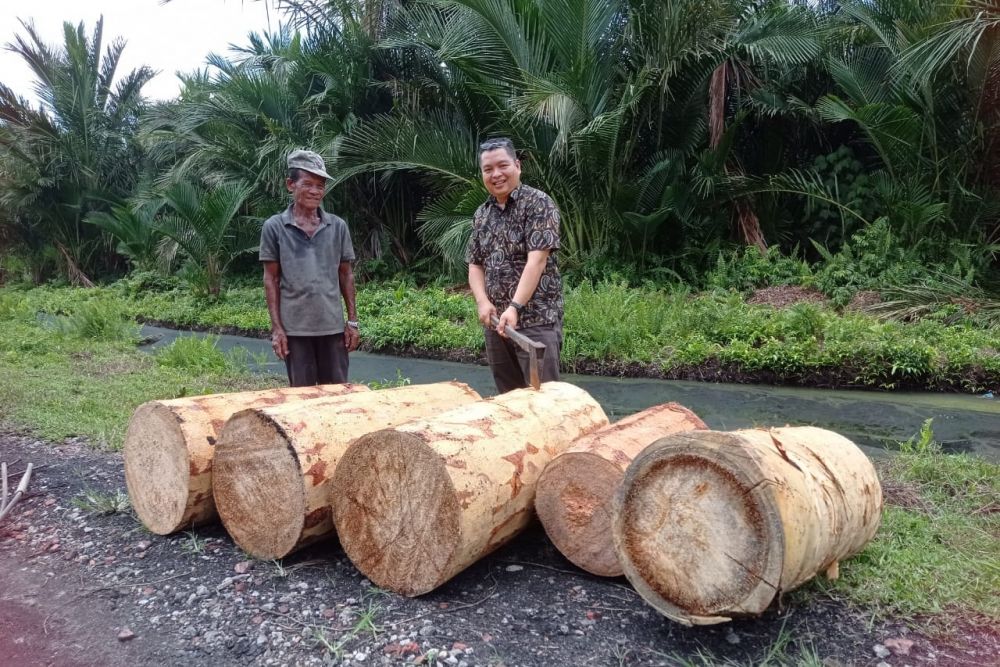Harga Bokar Pekan Ini Rp22.300 per Kg