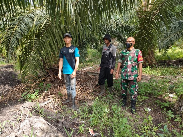 Babinsa Koramil 04/Kuindra Lakukan Himbauan Terkait Sosialisasi Kepada Masyarakat Petani Kelapa Sawit