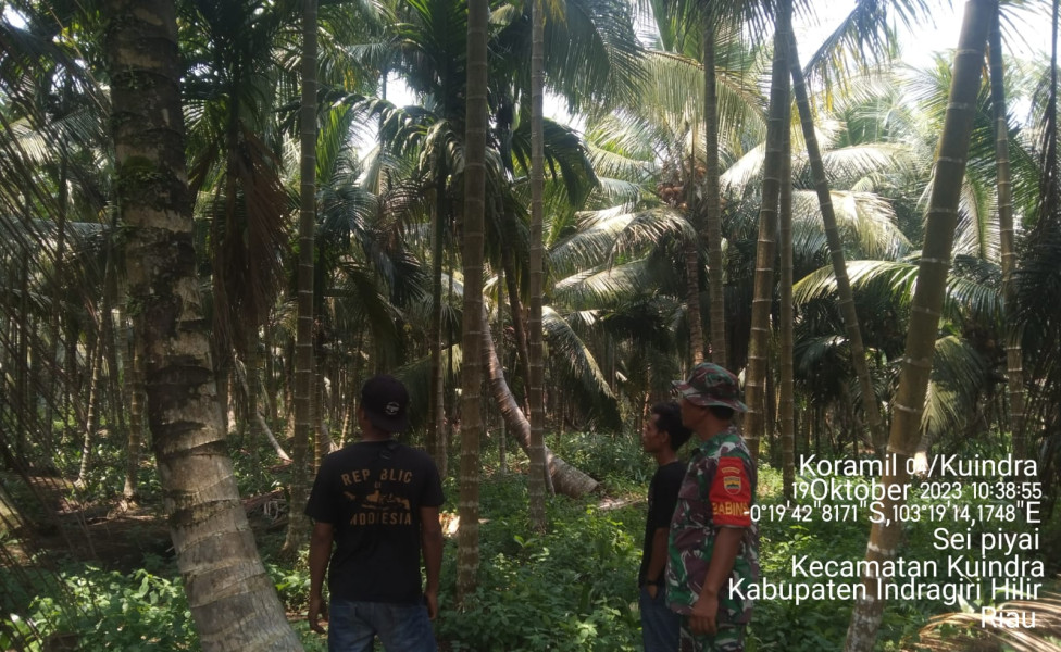 Babinsa Koramil 04/Kuindra Cegah Karhutla Di Wilayah Untuk Kenyamanan Lingkungan