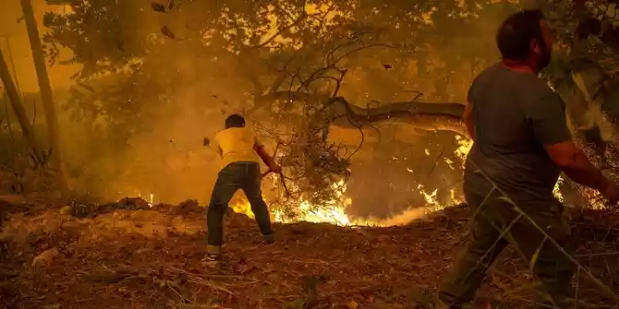 Presiden Jokowi & 100 Pemimpin Dunia Janji Hentikan Penggundulan Hutan pada 2030