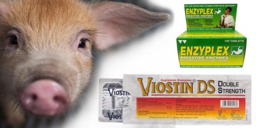 BPOM minta produsen tarik suplemen Viostin DS & Enzyplex karena mengandung DNA babi