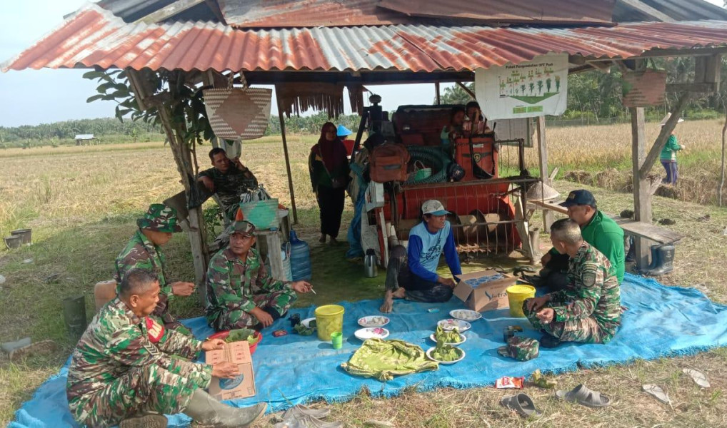 Bantu Panen Padi, Anggota Koramil 03/Tpl Makan Bersama Petani di Sawah