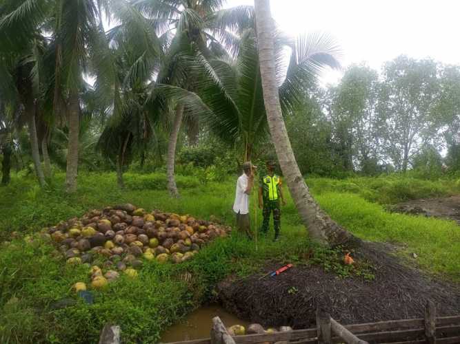 Babinsa Koramil 04/Kuindra Cegah Karlahut Bersama Masyarakat Petani
