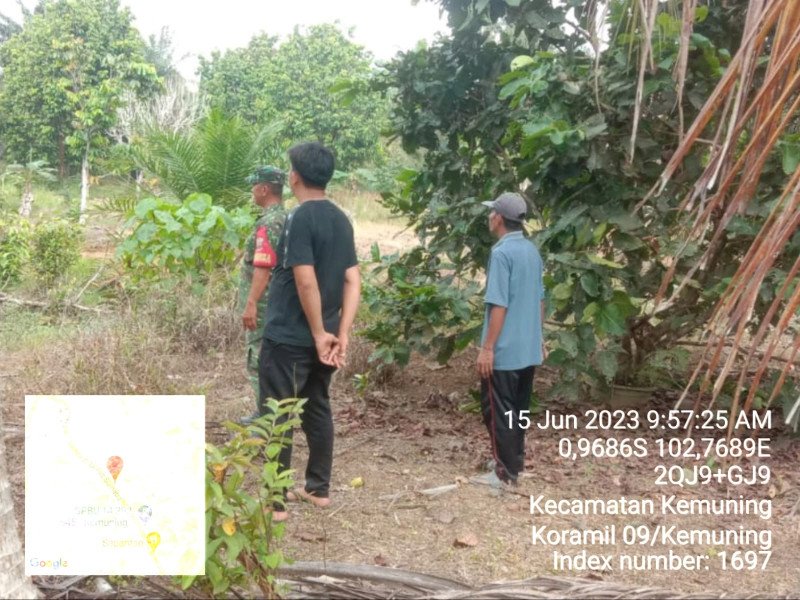 Babinsa Koramil 09/Kemuning Himbau Warga Agar Tetap Jaga Lahan dan Hutan