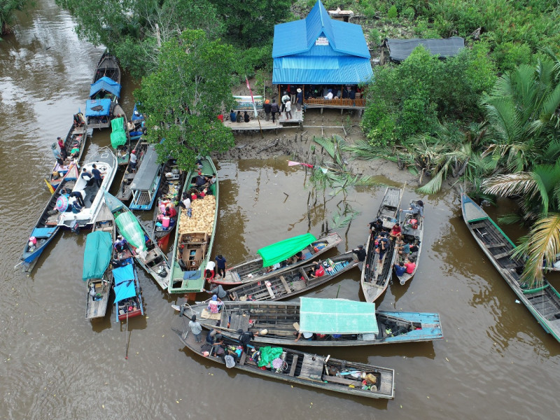 Panen Raya Perikanan Sapat 2024 Diisi Dengan Kampanye Jaga Ekosistem Mangrove dan Sungai