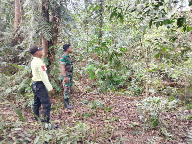 Giat Rutin, Babinsa Koramil 05/Gas Laksanakan Patroli Karlahut