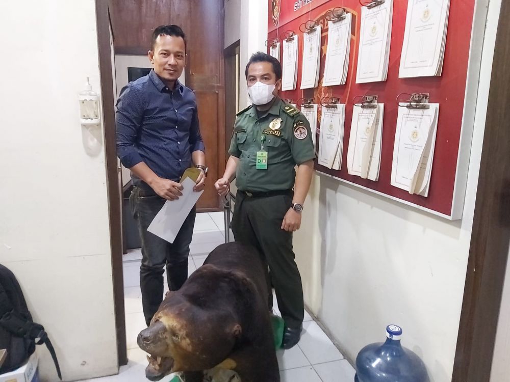 Petugas Amankan Beruang Yang Sudah Diawetkan