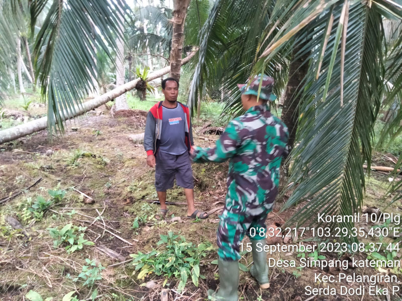 Babinsa Koramil 10/Pelangiran Turun Untuk Memantau Lahan dan Hutan Warga