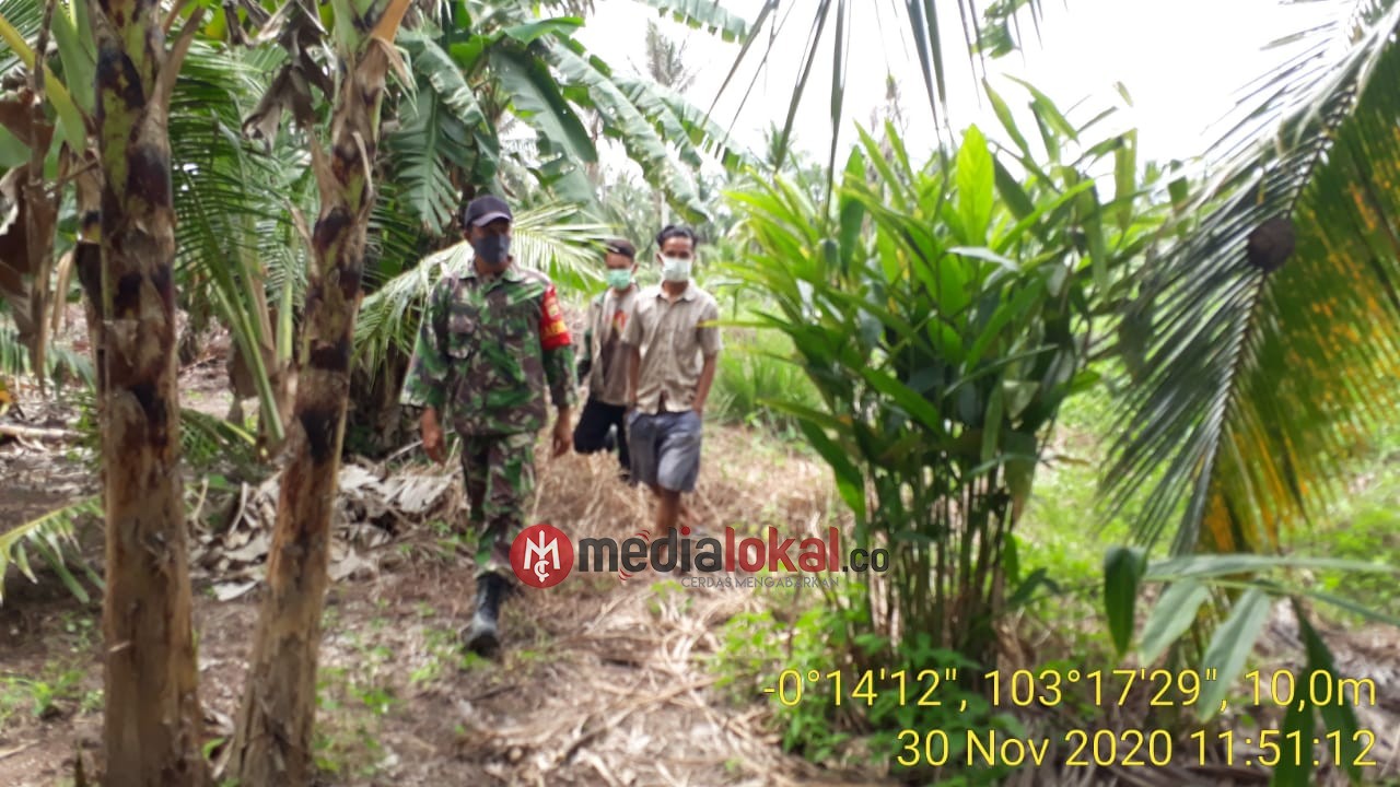 Serda Januar Koramil 12/Batang Tuaka Lakukan Patroli Karhutla