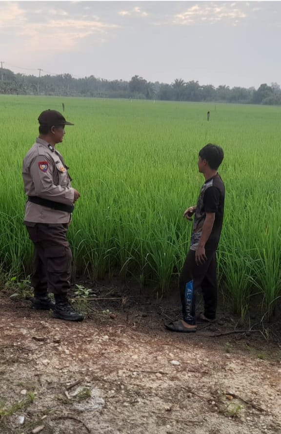 Polsek Keritang Dukung Swasembada Pangan, Aiptu Agus Riyono Turun Langsung ke Sawah Bina Petani di Desa Pengalihan