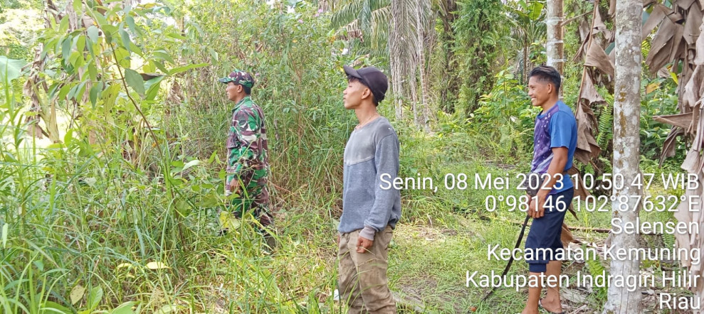 Babinsa Koramil 09/Kemuning Sosialisasi dan Patroli Karhutla di Binaan