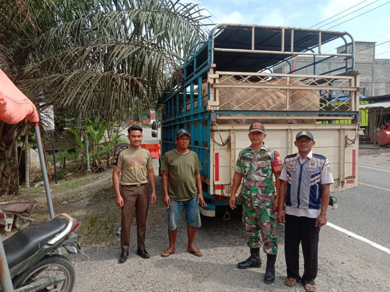 Sertu A. Hayat Rutin Lakukan Pengawasan Terhadap Hewan Ternak