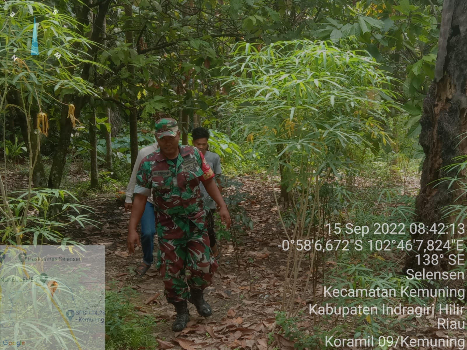 Peduli Hutan dan Lahan Terus Dilakukan Oleh Babinsa Koramil 09/Kemuning