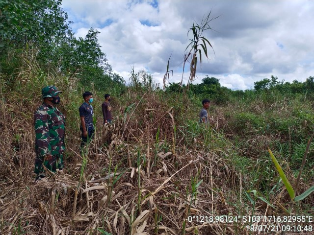 Babinsa Gemilang Jaya Koramil 12/Batang Tuaka Lakukan Patroli Karhutla Bersama Warga