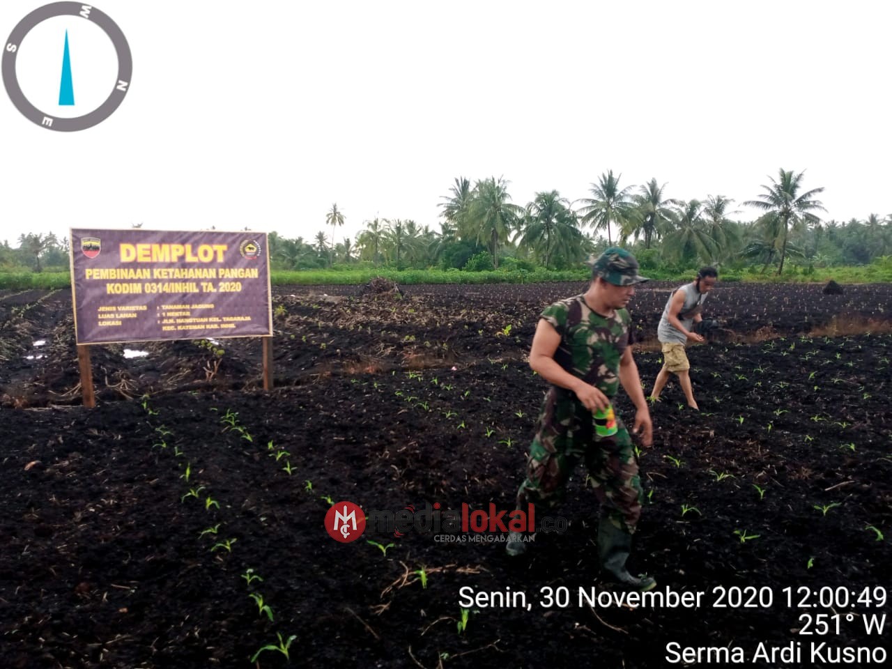 Serma Ardi Kusno Koramil 06/Kateman Pantau Perawatan Demplot Ketahanan Pangan