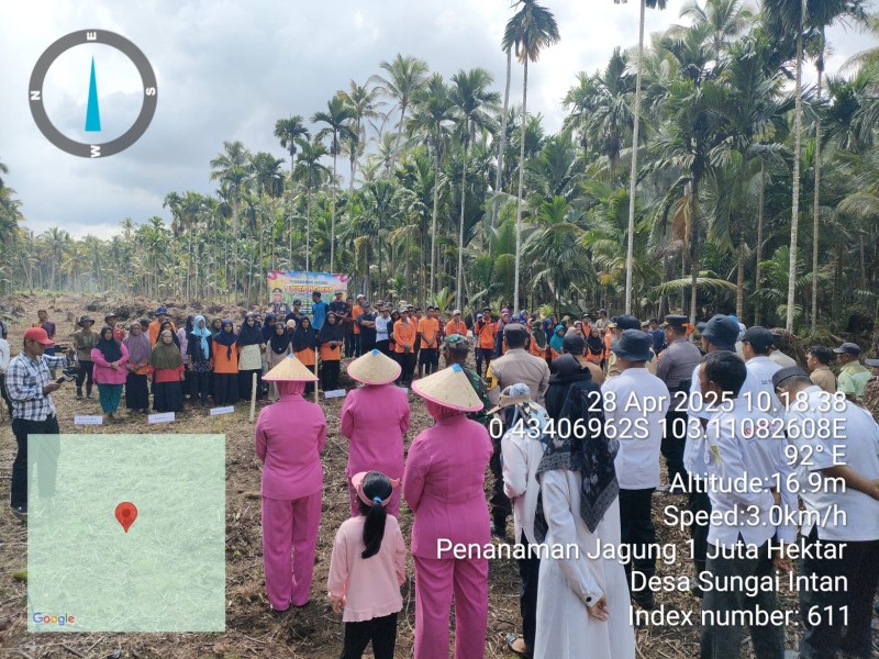 Kepala Desa Sungai Intan Inisiasi  Penanaman Jagung Serentak untuk Dukung Ketahanan Pangan