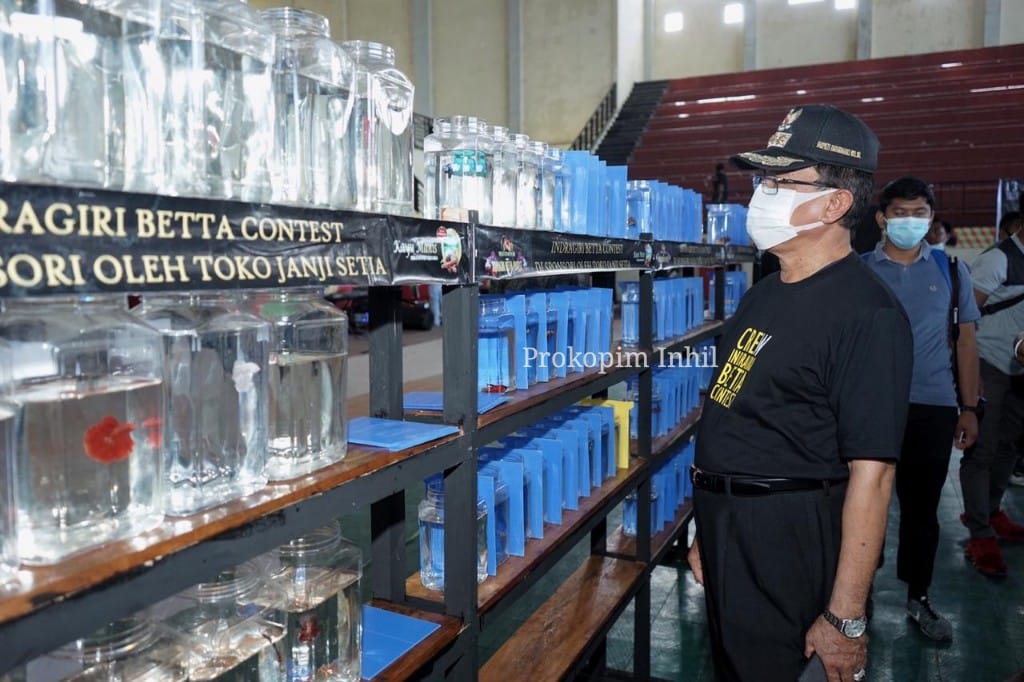Bupati HM Wardan Buka Kontes Ikan Cupang di Inhil 