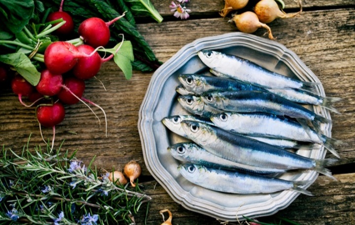 Manfaat Ikan Sarden bagi Kesehatan, Yuk Lihat Disini