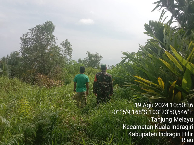 Bersama Masyarakat, Babinsa Koramil 04/Kuindra Turun Untuk Melihat Situasi Lahan dan Hutan