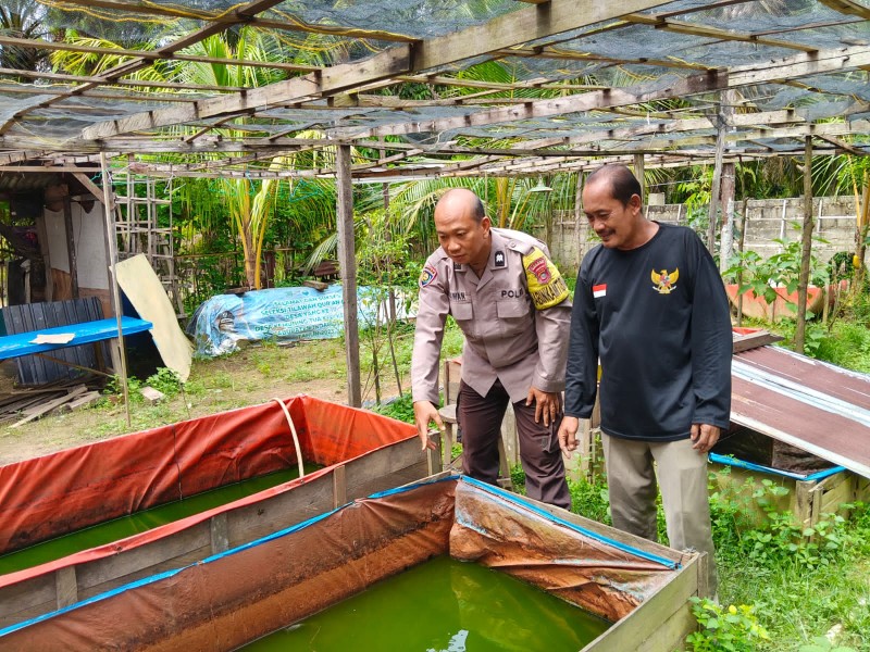 Sambang dan Motivasi di Desa Kemuning Tua: Polri, Petani, dan Lele Bertumbuh Bersama