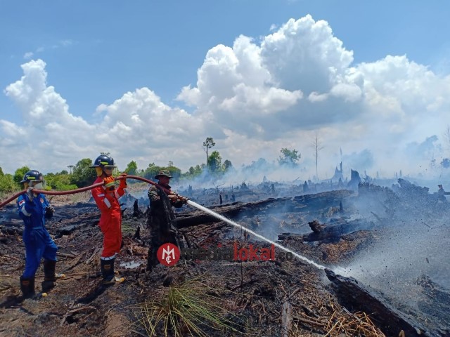 Sejak Januari Total Luas Lahan Terbakar di Kota Dumai 78 Hektar