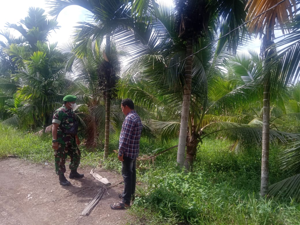 Bersama Petani Kelapa, Babinsa Koramil 04/Kuindra Ajak Lakukan Patroli Karlahut