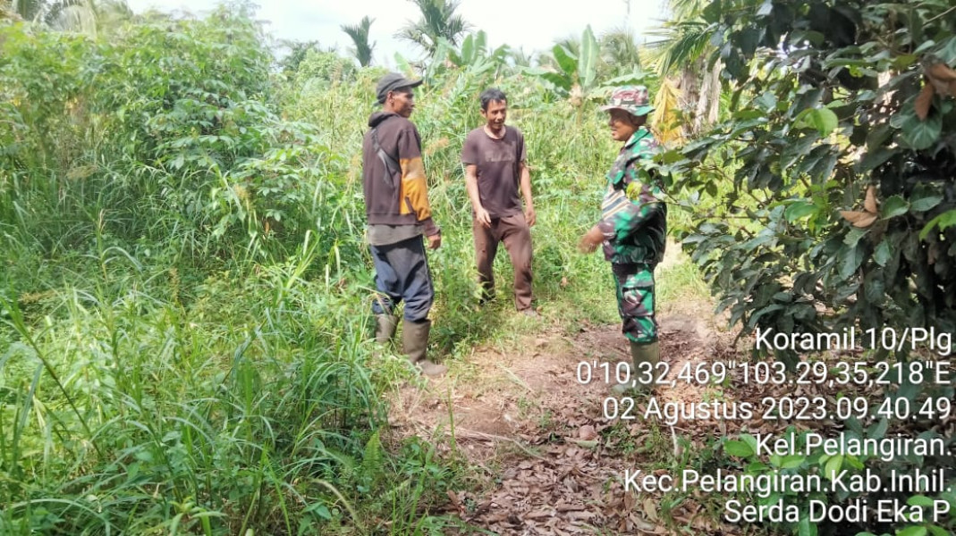 Terkait Lahan dan Hutan, Babinsa Koramil 10/Pelangiran Tetap Turun Untuk Memantau Karhutla