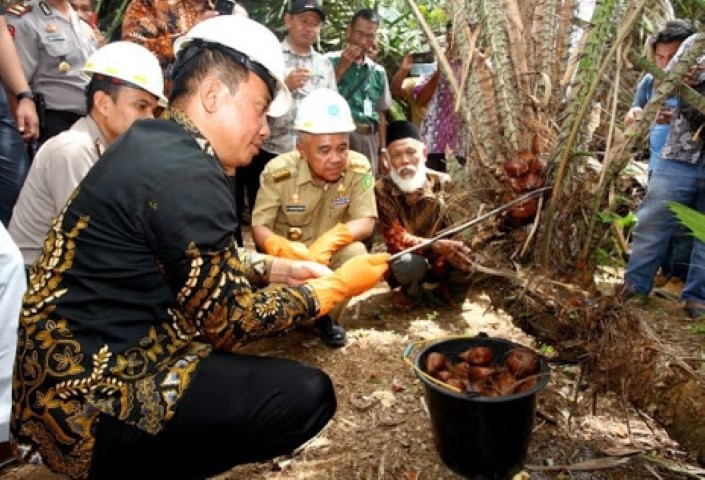 Bisnis Hortikultura Sangat Menjanjikan, Gubernur Riau Tertarik Kembangkan Kebun Buah