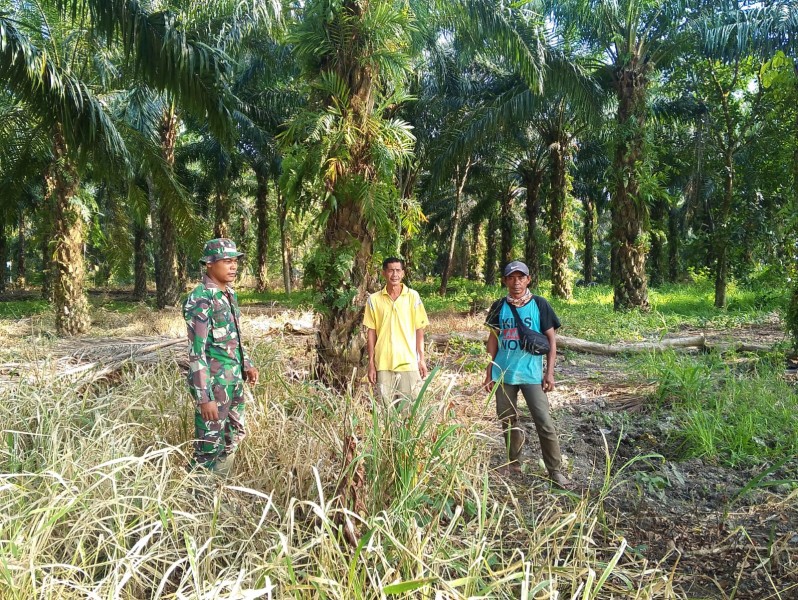 Babinsa Serda Suirwansah dan MPA Desa Rumbai Jaya Bersinergi, Patroli Karlahut untuk Cegah Kebakaran Hutan