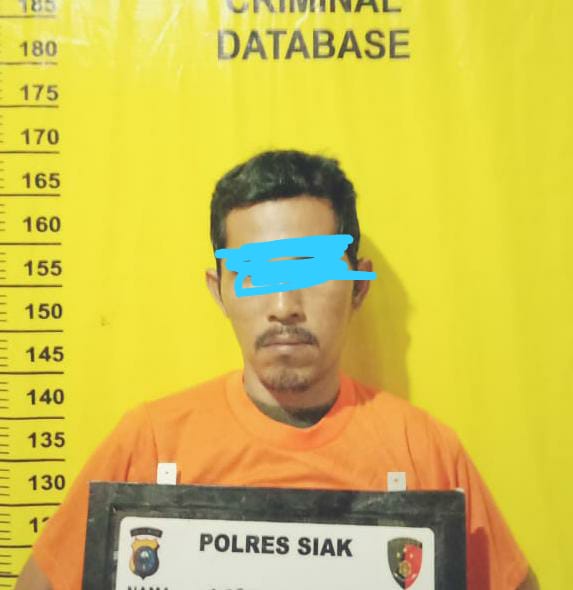 Asik Bermain Judi Togel, Pria di Minas Ini Diringkus Polisi