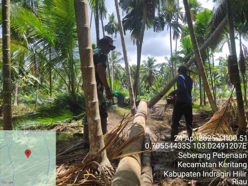 Koramil 09/Kemuning Laksanakan Oplah untuk Meningkatkan Produktivitas Pertanian