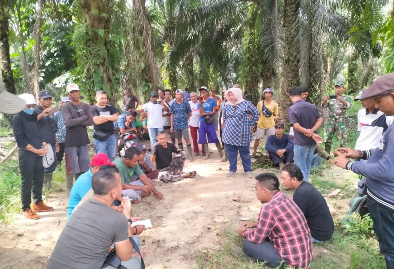 Sudah Dilaporkan Dugaan Pencurian TBS dan Serobot Kebun Sawit, Condra: Mungkin Polisi Takut ?