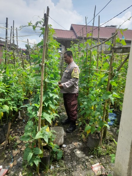 Dukung Swasembada Pangan, Kapolsek Keritang Lewat Bhabinkamtibmas Sambangi Petani Sayur di Pengalihan
