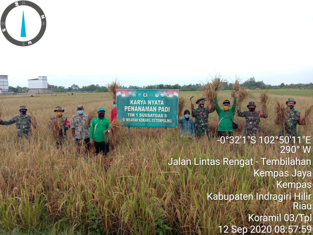 Kemanunggalan TNI, Koramil 03/Tempuling Lakukan Panen Padi di Lahan Demplot Karya Nyata