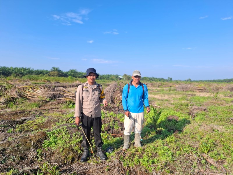 Polsek Kemuning Siapkan Lahan Produktif Di Jalur 10 Lubuk Besar Untuk Tanam Jagung
