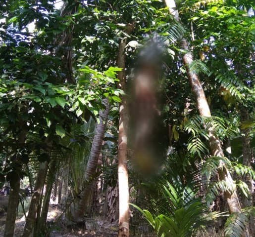 Seorang Pria di Inhil Ditemukan Tewas Tergantung di Pohon